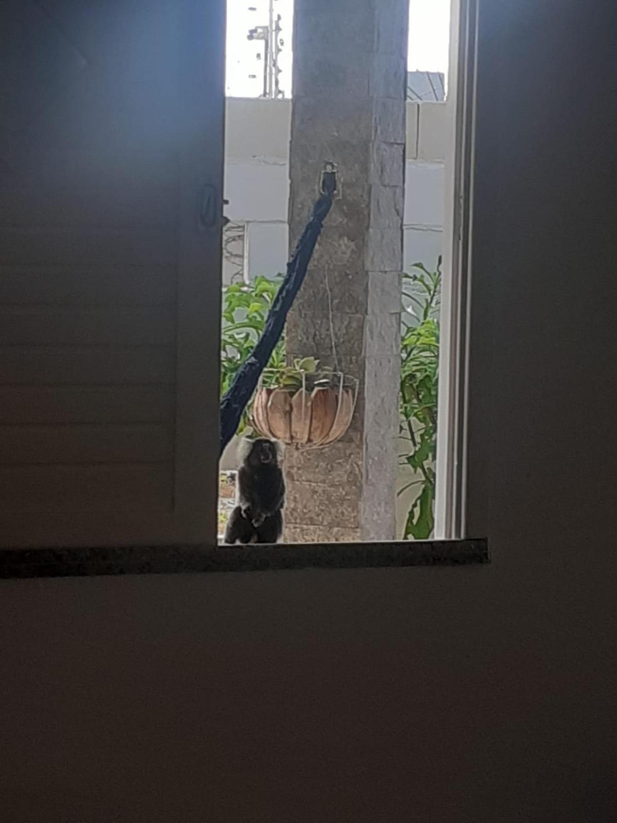 Casa De Temporada Na Dentro De 度假居